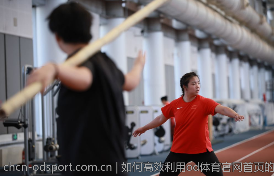 如何高效利用od体育官网首页的各项服务