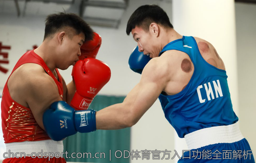 OD体育官方入口功能全面解析